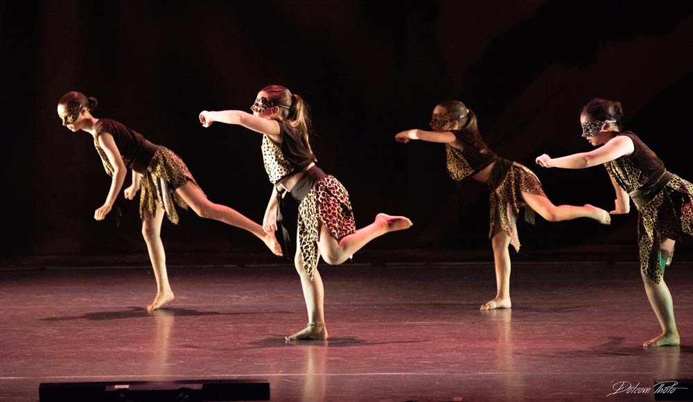 מחול הנמרים