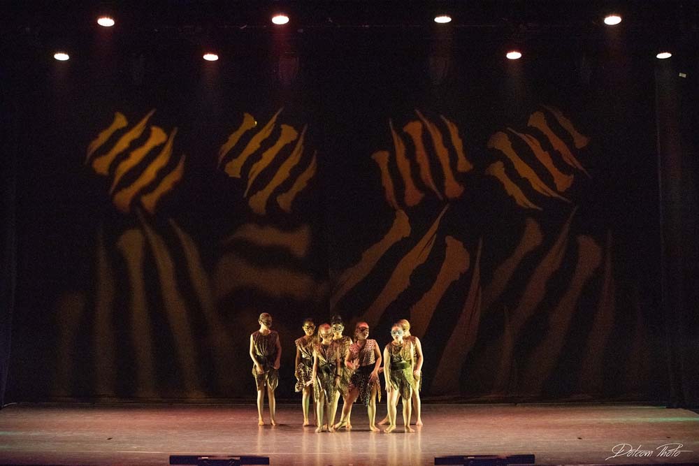 מחול הנמרים4